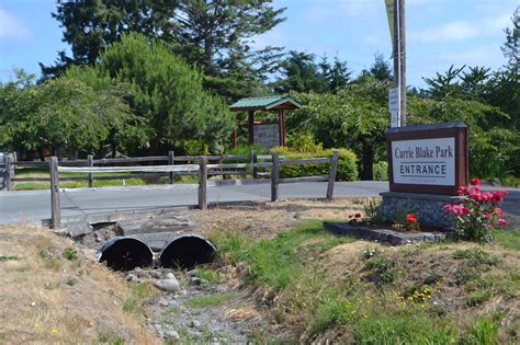 carrie blake park sequim